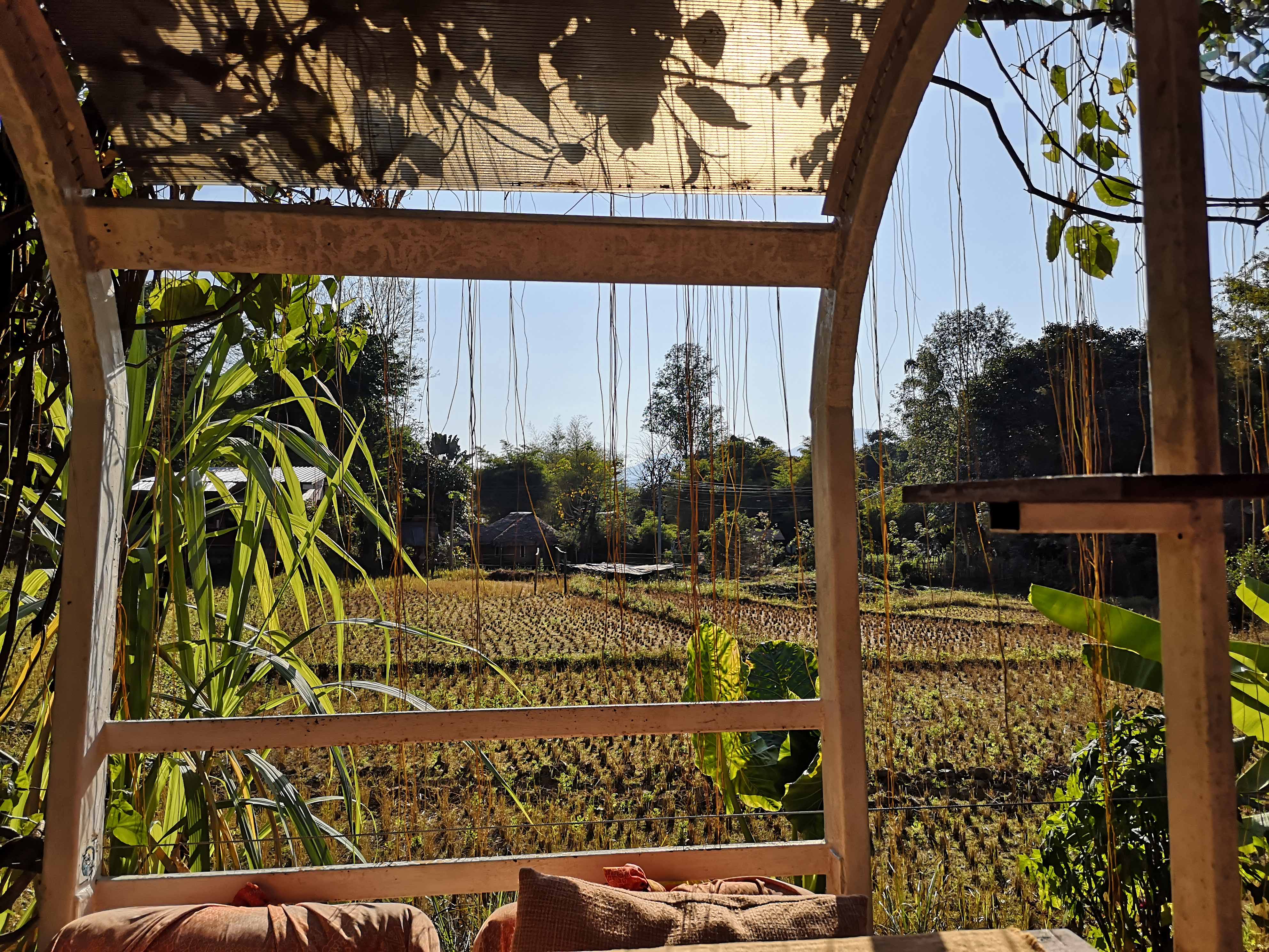 teaser image topic pai